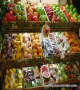 암을 이기는 한국인의 음식 -녹황색 채소