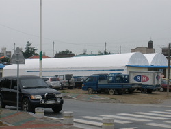 예장합동 김제노회, 면직목사 복직