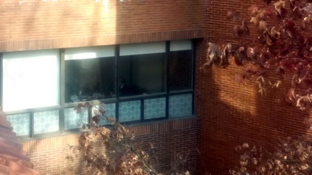 총회재판국, 위임목사를 전도사로 강등시켜