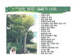 기적의 차를 아시나요?