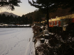 횡성 학교, 관리목사 구합니다