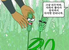 가라지를 뽑다가 곡식까지 뽑은 이단조작자들