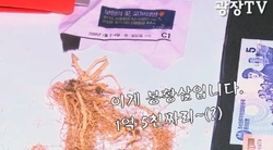 정삼지목사. 당회장실은 아방궁이었다