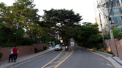 신학춘추와 장신대 교수들의 신학