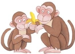 조삼모사의 한기총, 결국 소기총으로