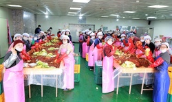 한국교회연합, 성민원과 군포제일교회 ‘2019 사랑의 김장 나눔’ 행사 개최.